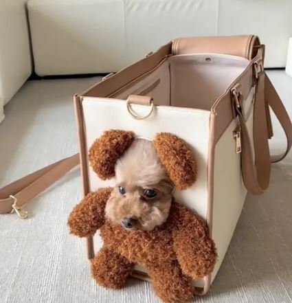 Cute Dog Outing Large Capacity Bag Pet Products