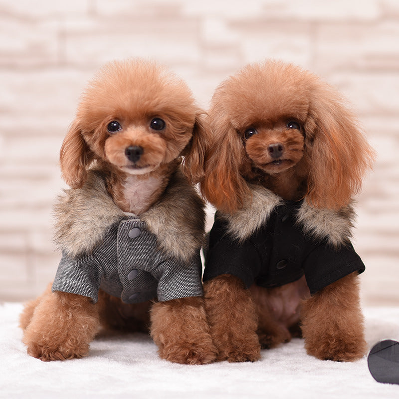 Winter Dog Coat - British Style for Teddy Dogs