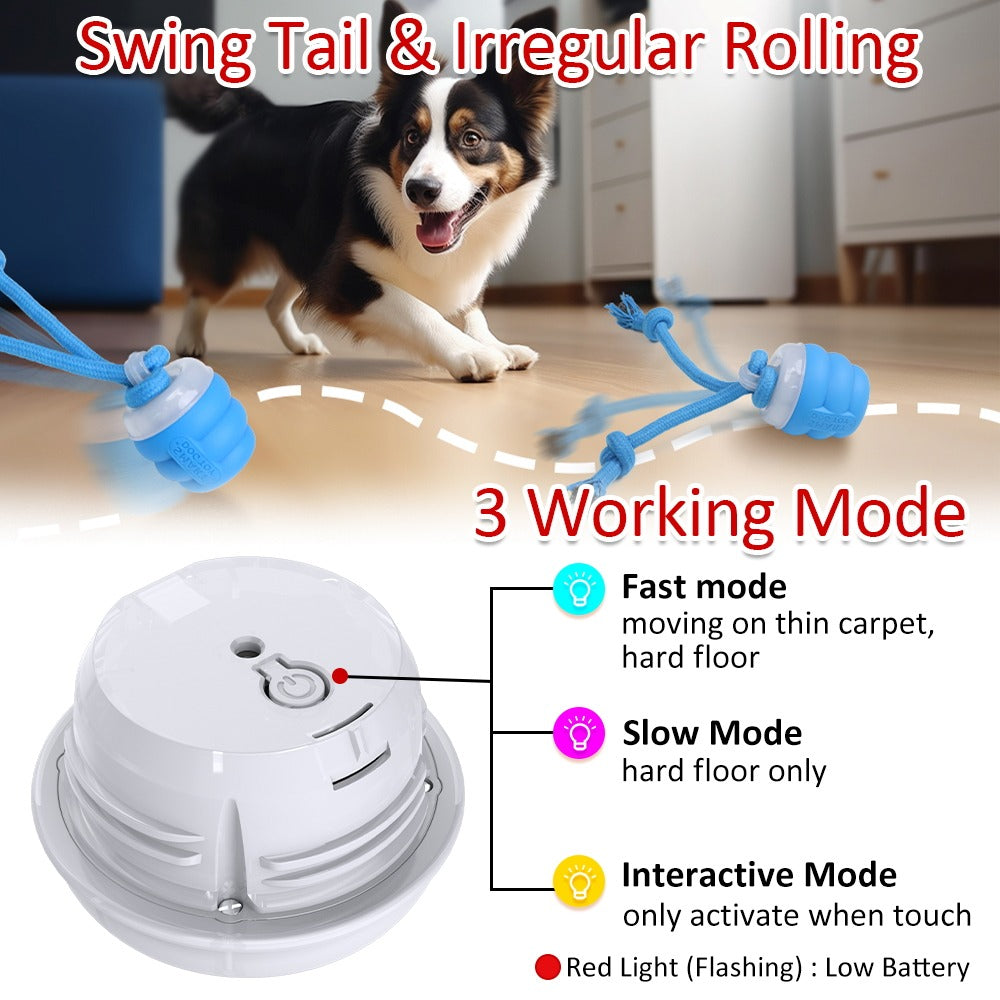 Electric Dog Toy Ball with Built-in Leash