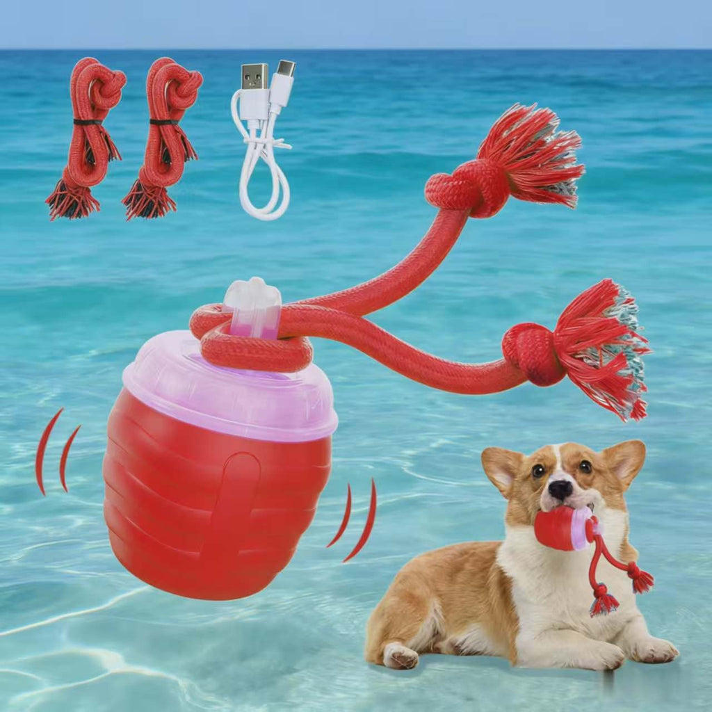 Bite-Resistant Pet Ball