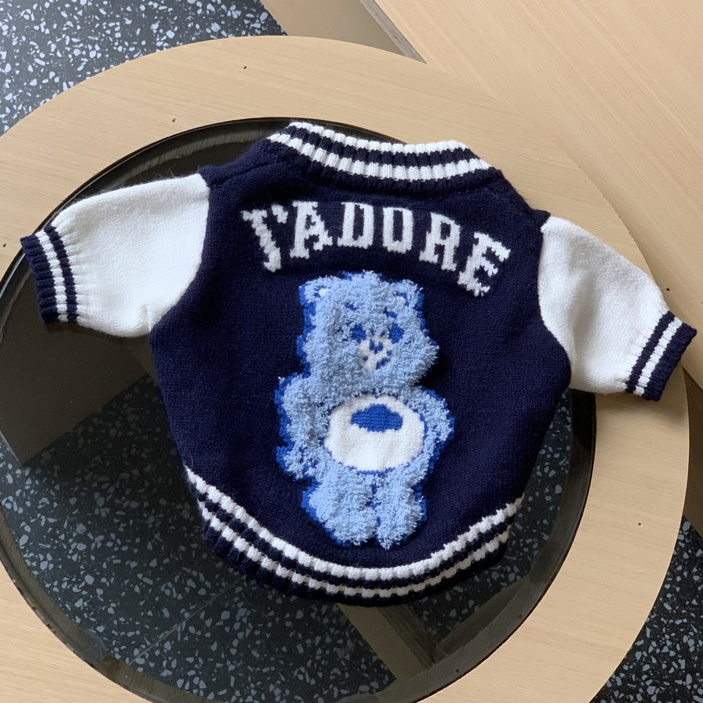 Rainbow Bear Pet Sweater for Cats and Schnauzers