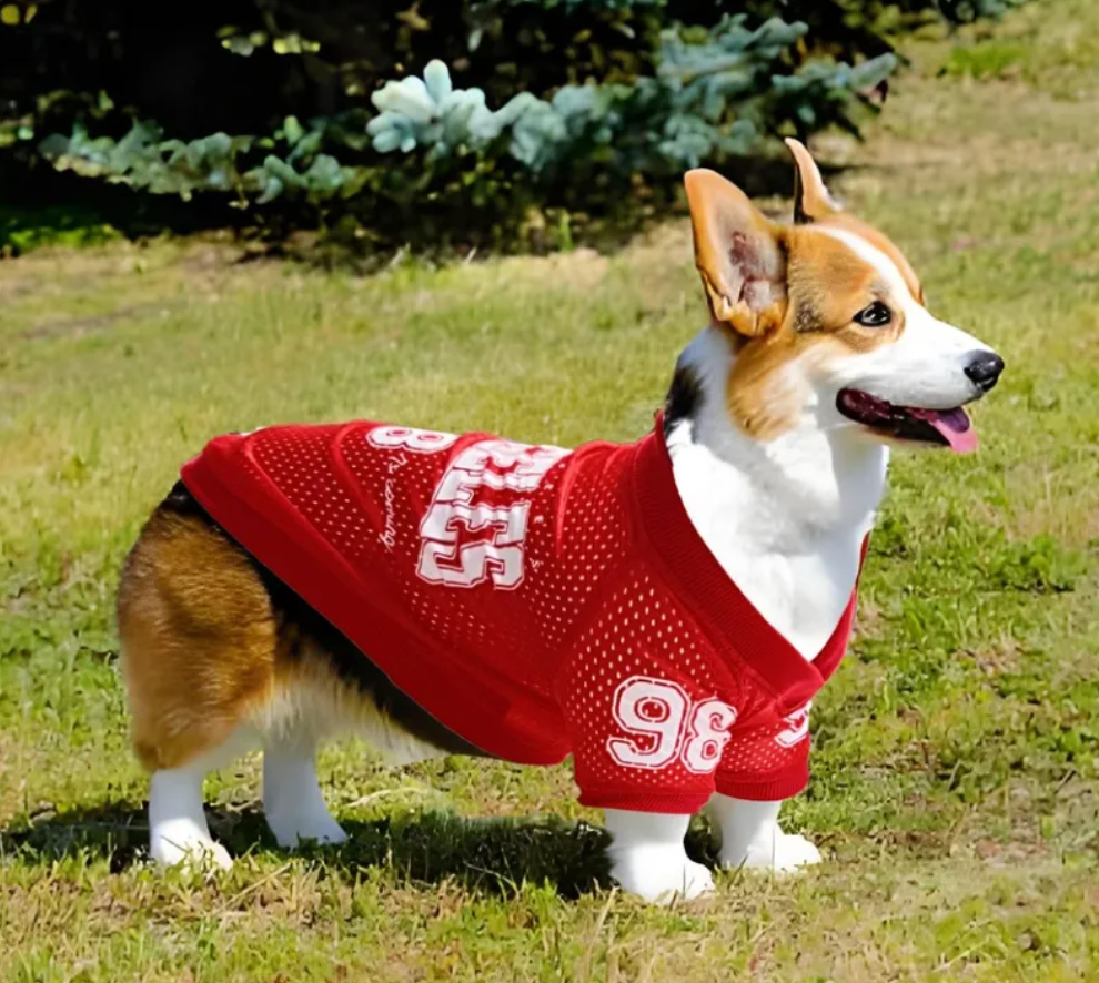 Dog Sun Protection Outdoor Sports Shirt