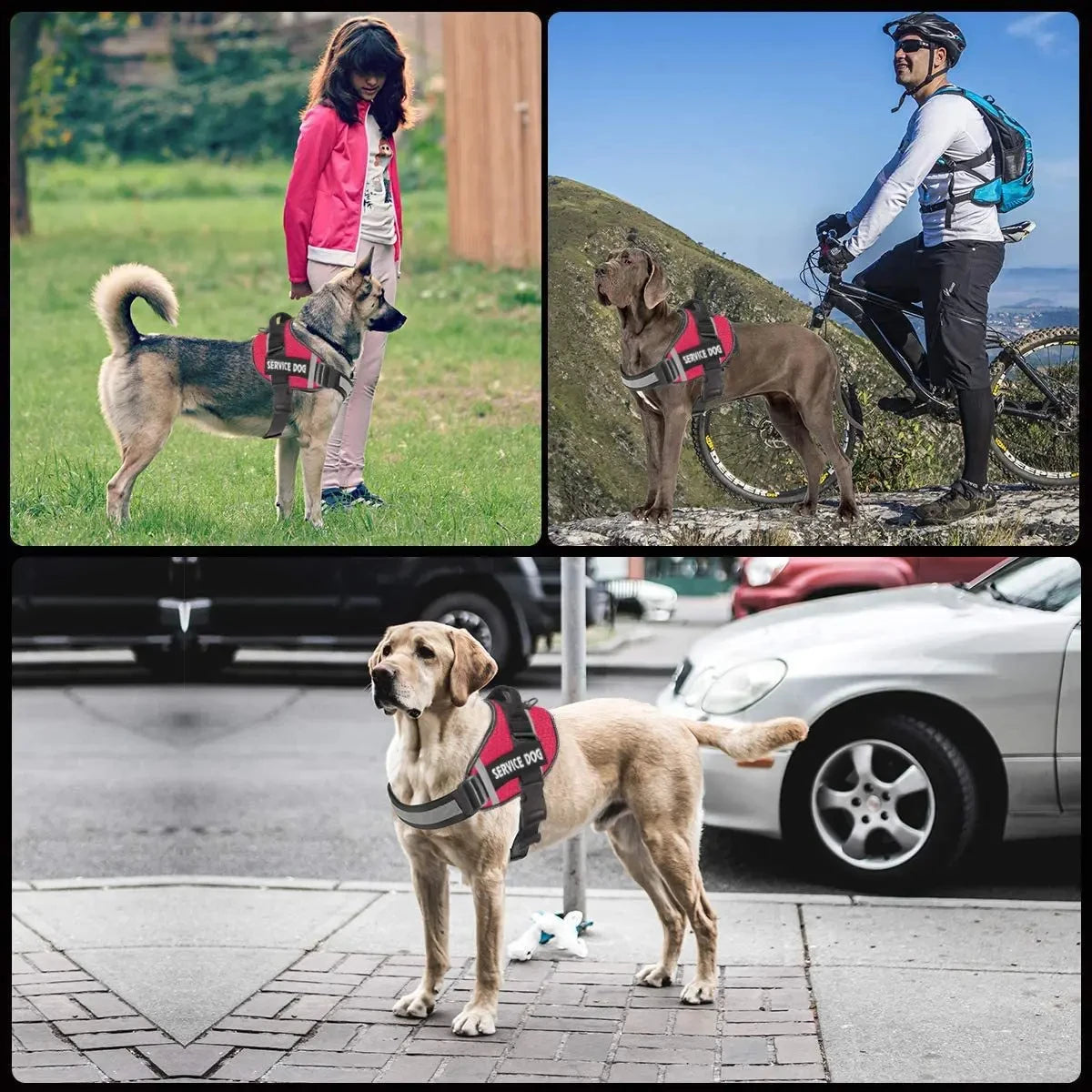 Adjustable Reflective Harness for Large Dogs & Bulldogs