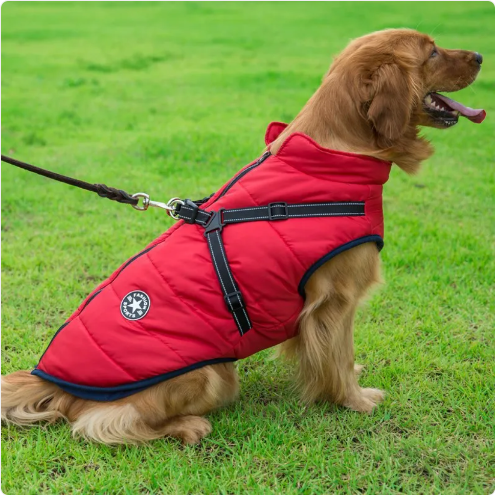 Reflective Waterproof Dog Coat for Autumn and Winter