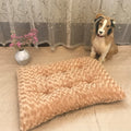 Rose Plush Pet Mat for Cats and Dogs