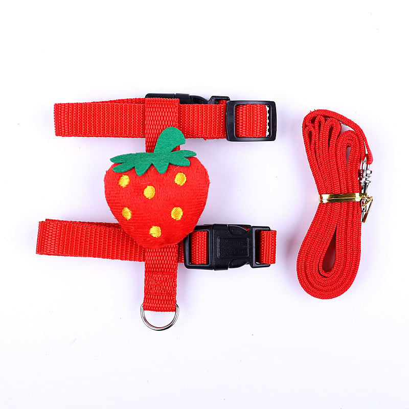 Small Pet Harness