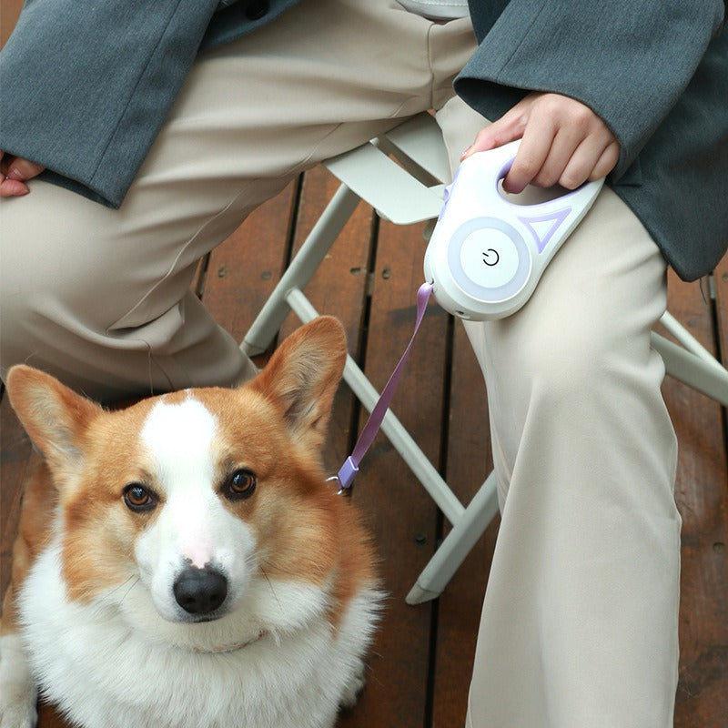 Retractable LED Dog Leash with Collar
