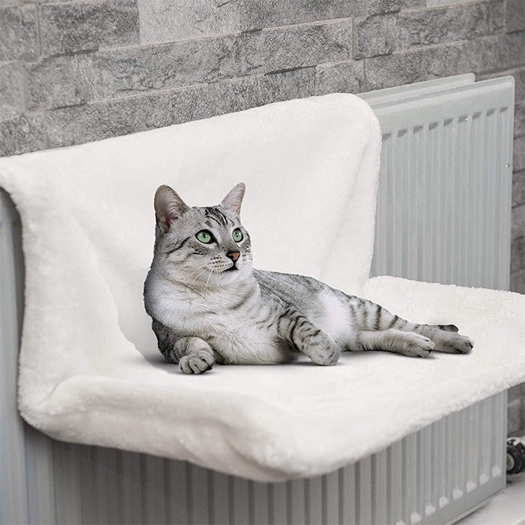 Iron Frame Cat Hammock Bed