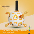 Dog Interactive Soccer Toy with Cute Prints