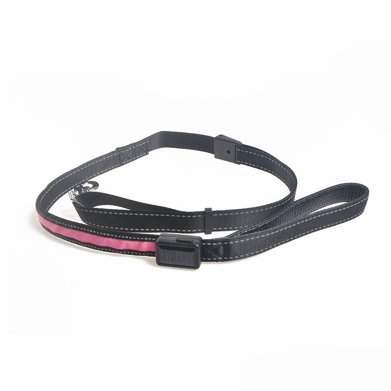 Luminous Dog Collar for Nighttime Safety and Visibility