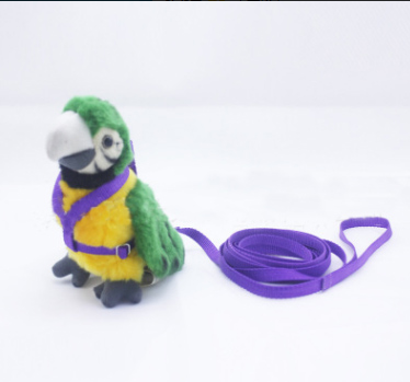 Parrot Leash for Outdoor Walking and Training