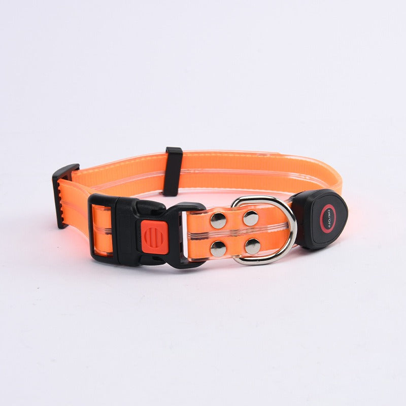 LED Light-Up Pet Collar & Leash