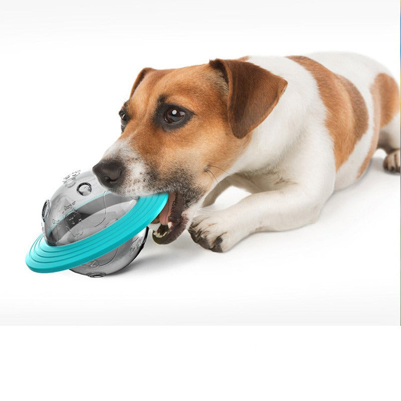 Missing Food Educational Pet Toy