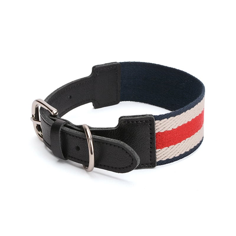 Adjustable Straps for Pet Stripe Collar