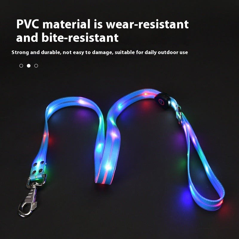 LED Light-Up Pet Collar & Leash