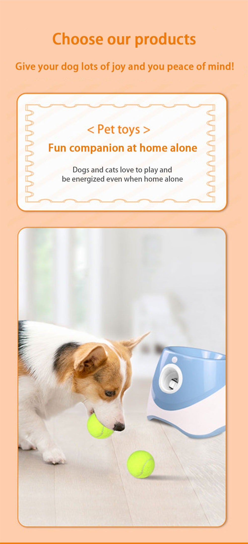 Automatic Pet Ball Launcher