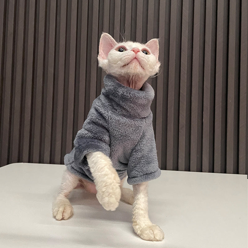 "Fashionable Clothing for Hairless Cats"