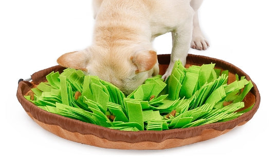 Washable Pet Training Mat with Sniffing Toy for Dogs