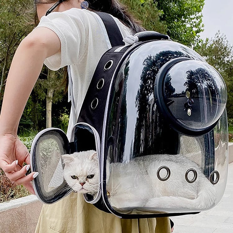 Large Transparent Pet Cat Carrier Backpack