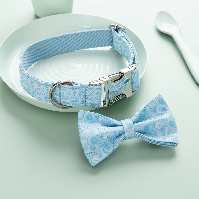 Zinc Alloy Buckle Dog Collar with Lettering