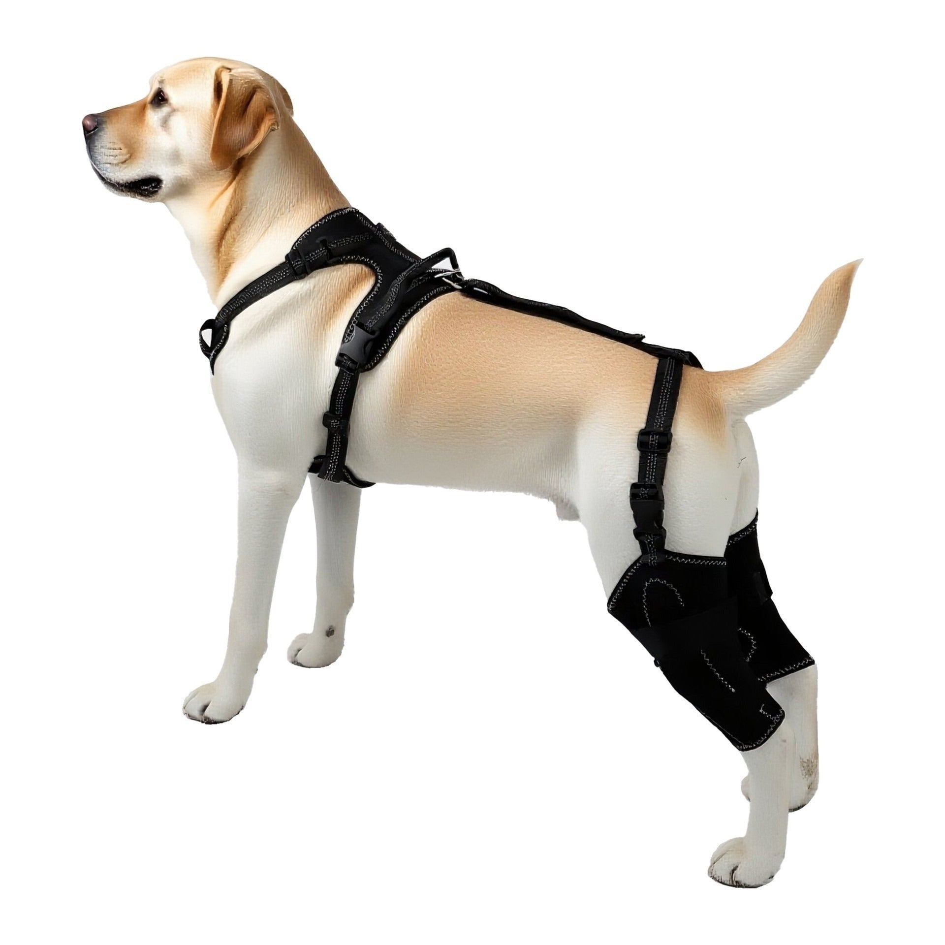 Pet Leg & Joint Protection Sleeves
