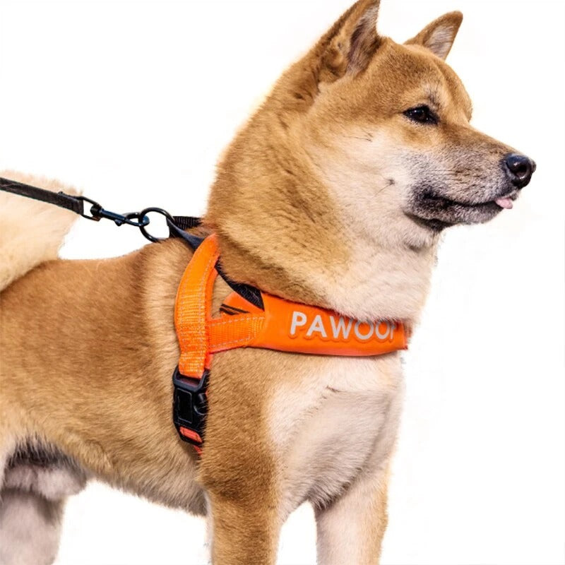 Dog Chest Strap with Leash Attachment
