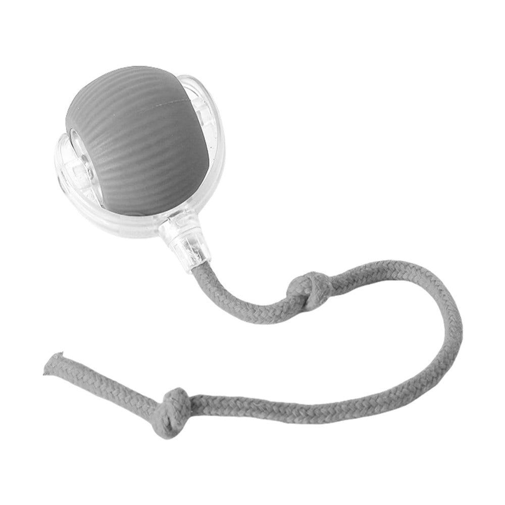 Interactive Rolling Cat Ball Toy
