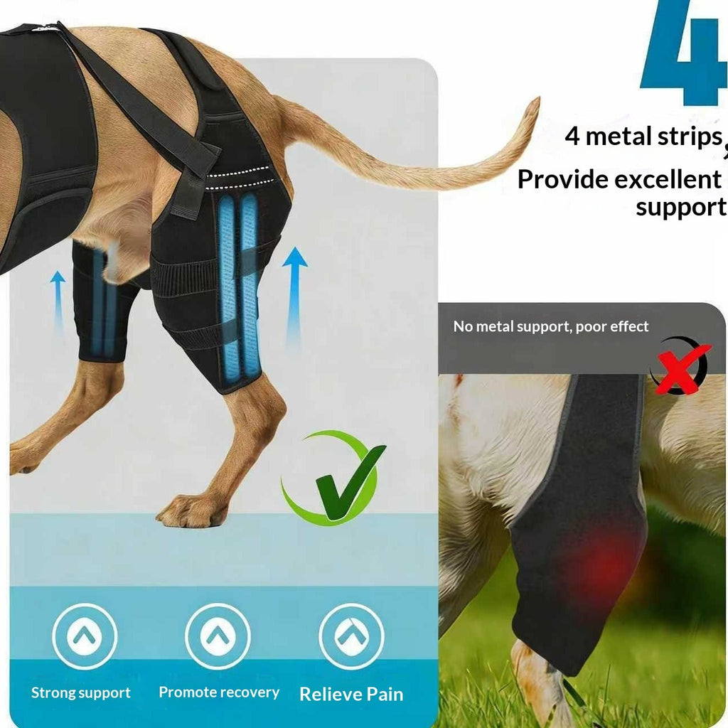 Rear & Hind Leg Cover