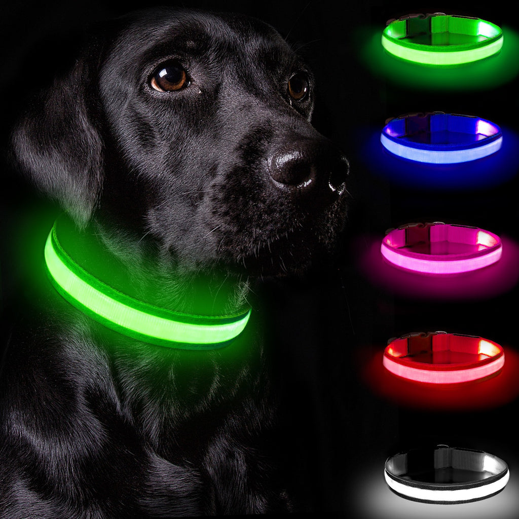 Dog Collar Rechargeable