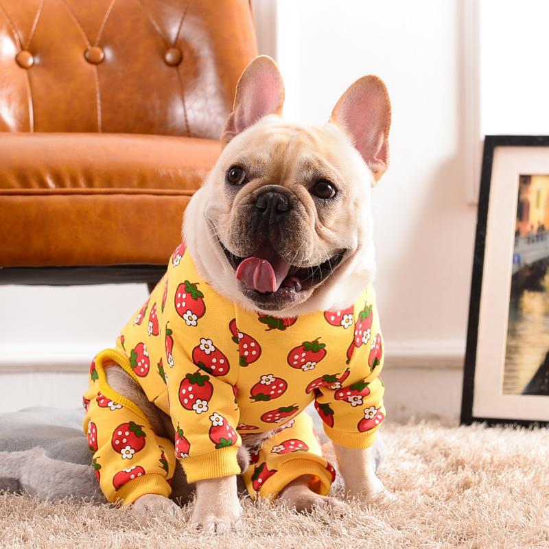 New Strawberry Pet Outfit for Autumn and Winter