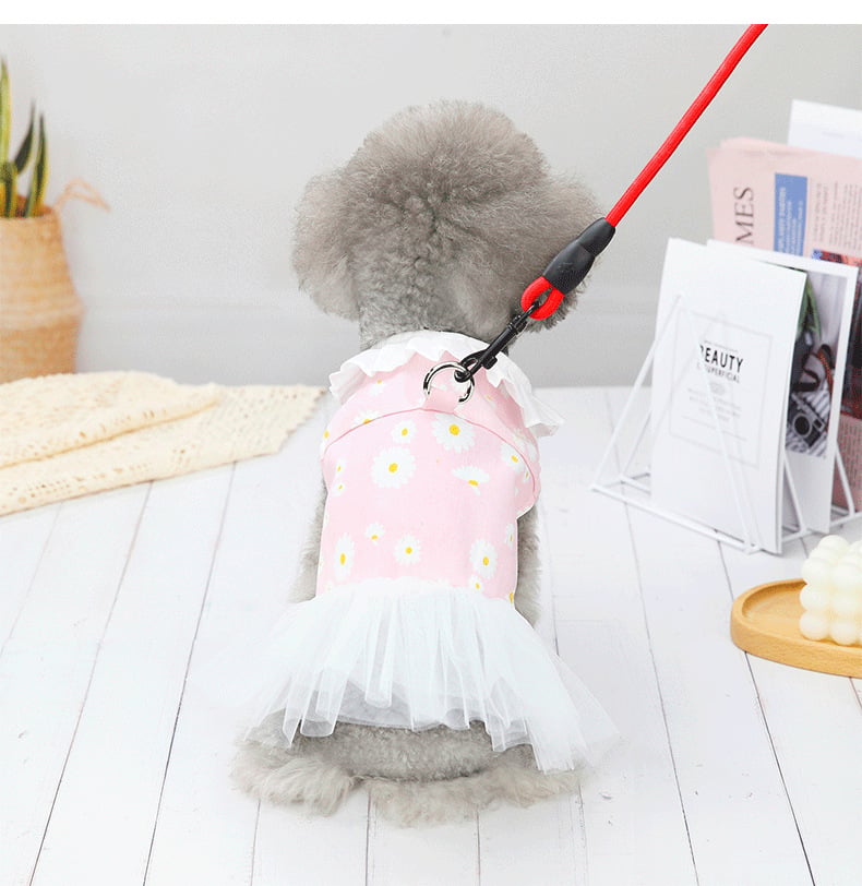 Cute Princess Dress for Small Bichon Dogs