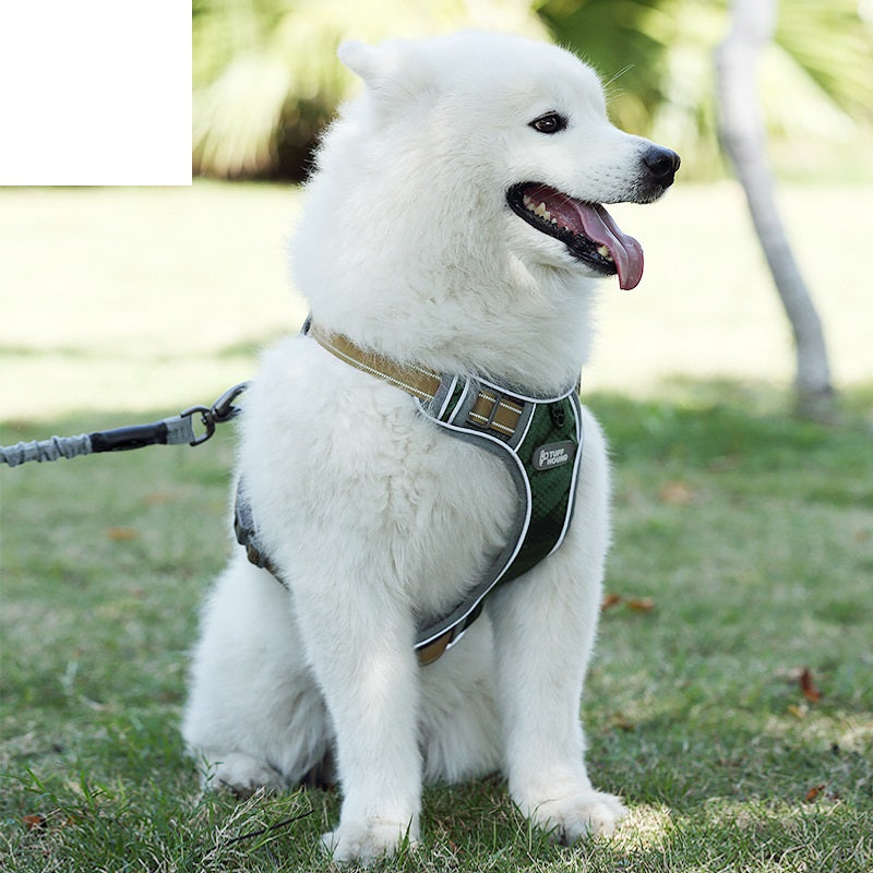 Dog Harness and Leash Set for Pet Walking用品