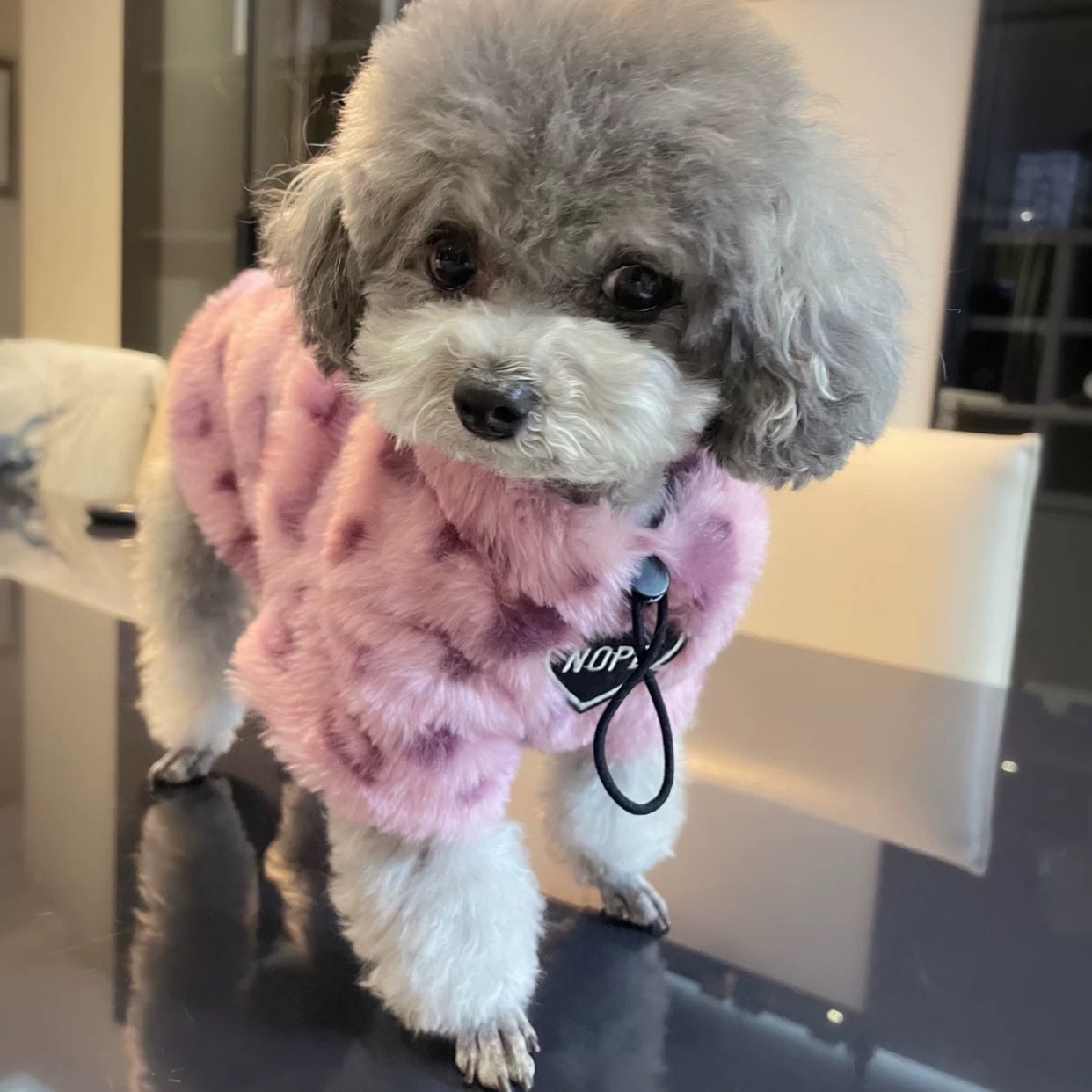 Thick Plush Warm Hoodie for Cats