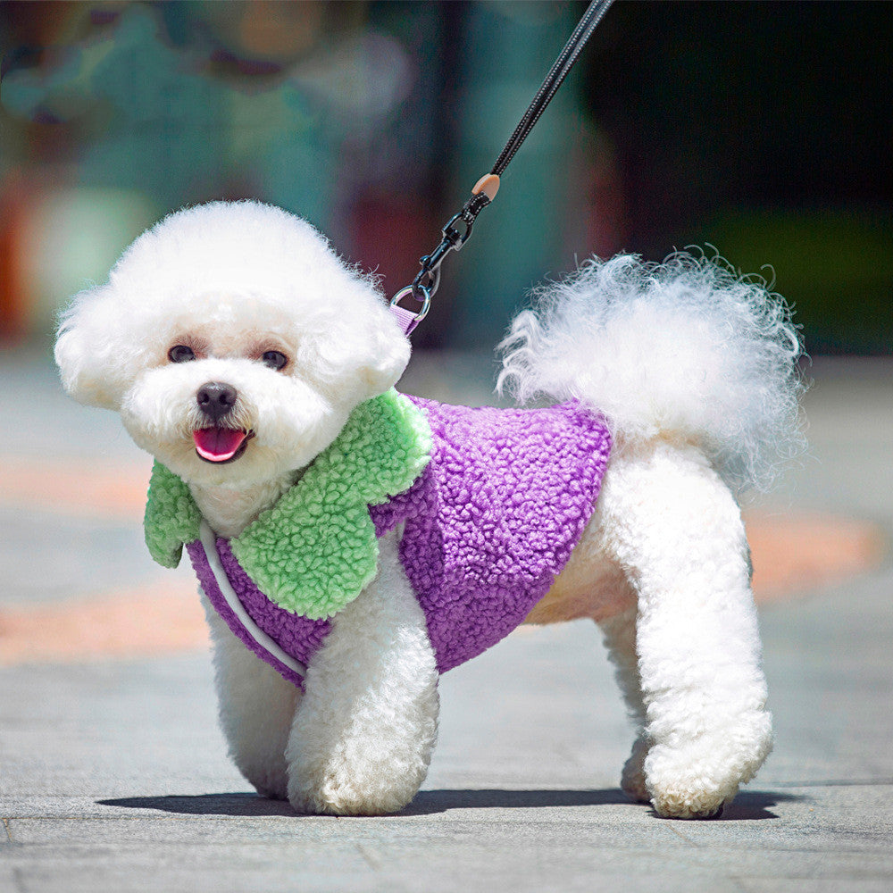 Korean Style Lace Warm Pet Clothes with Lotus Leaf Design