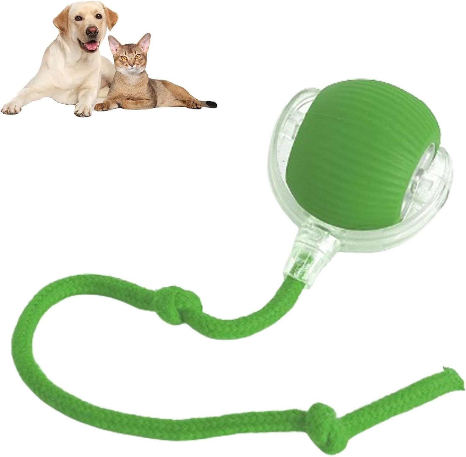 Interactive Rolling Pet Ball Toy