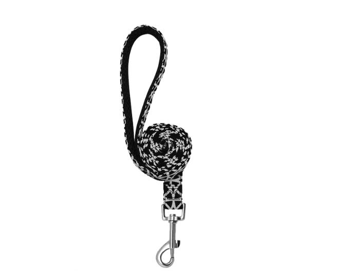 Dog Collar and Leash for Large Dogs