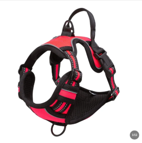 Adjustable Outdoor Dog Harness