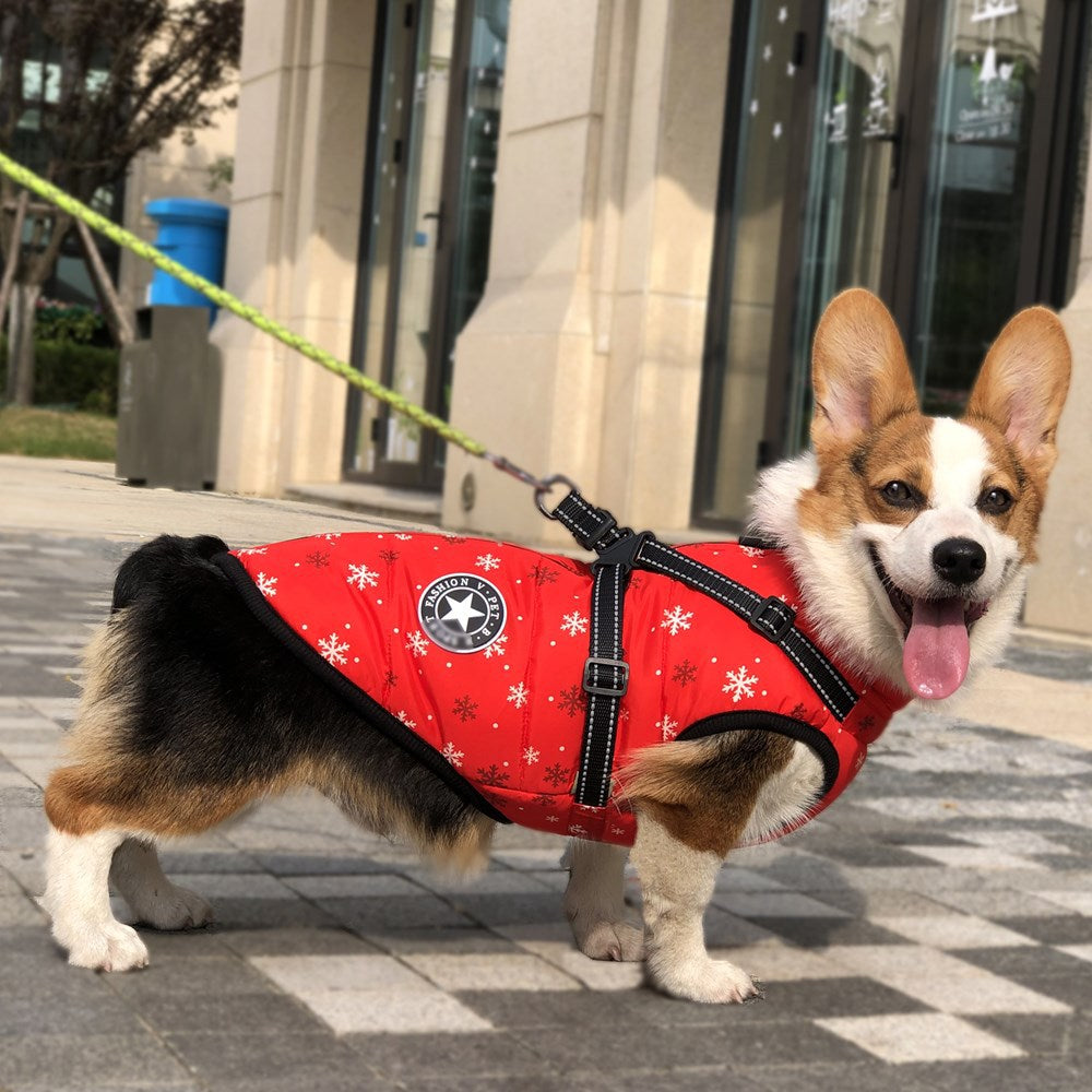 Waterproof Reflective Dog Belt for Winter Wear