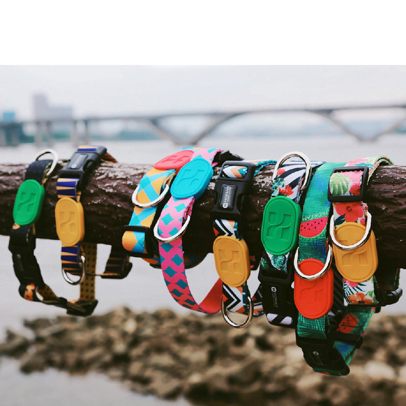 HiDREAM Colorful Dog Collar and Leash for Pets