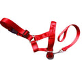 Dog Muzzle & Leash, Nylon