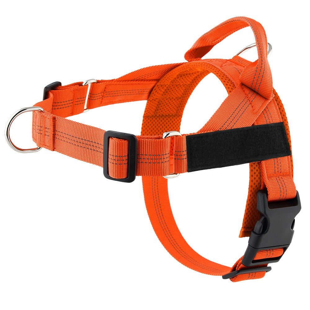 Lightweight Dog Harness and Leash Set