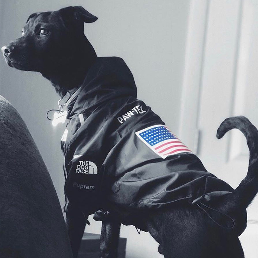 Dog Waterproof Jacket for Pets