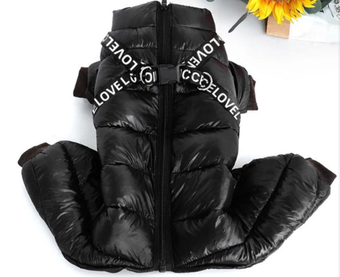 Waterproof Winter Down Jacket for Small Dogs