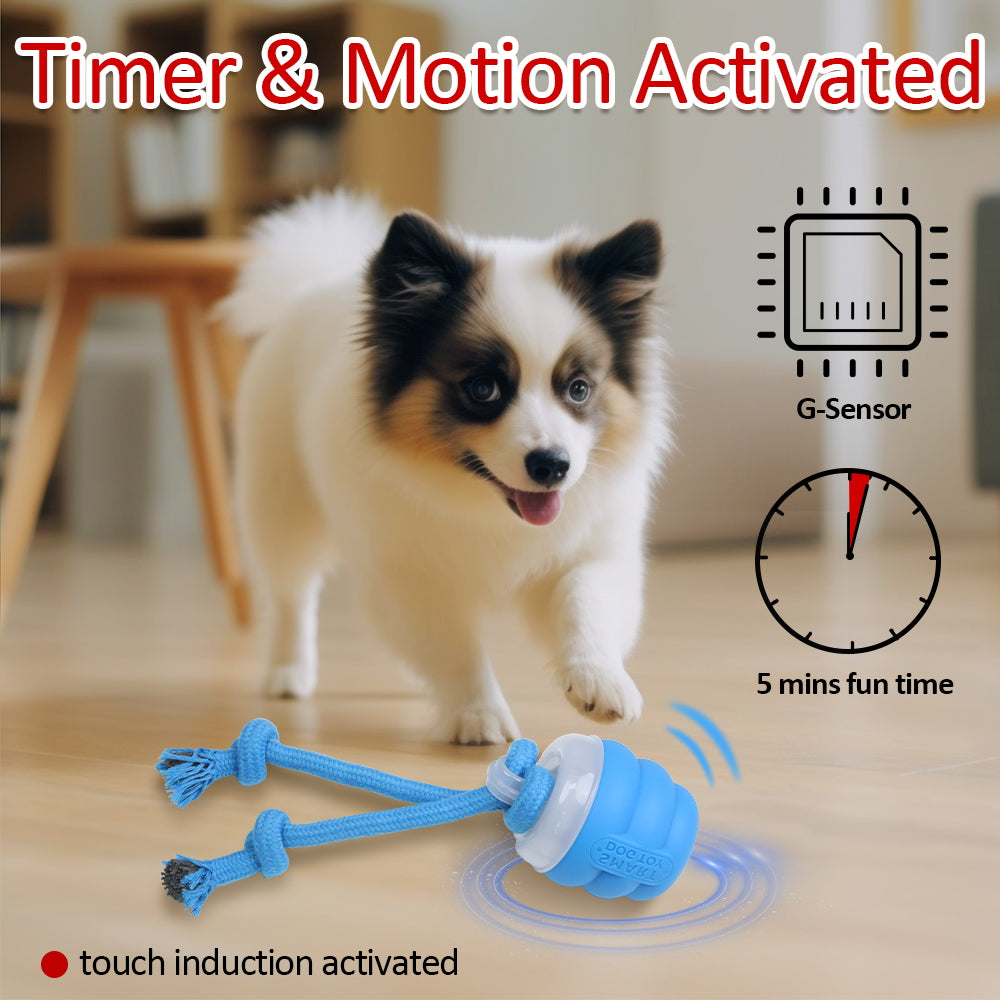Interactive Electric Dog Toy Ball – Sapphire Blue