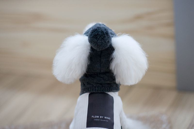 Trendy Pet Apparel Set with Hat and Scarf for Dogs