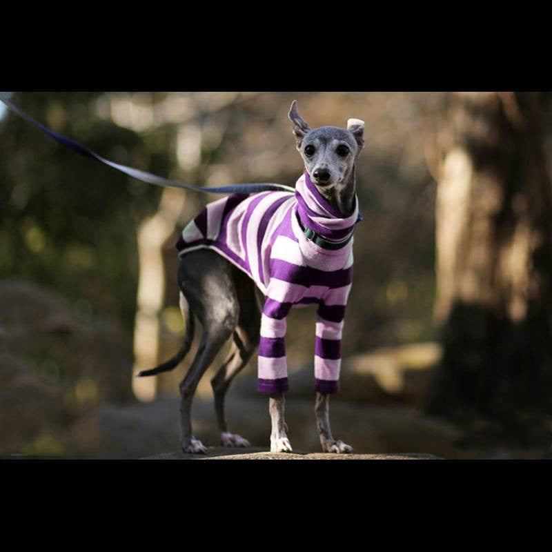 Striped High Neck Pet Clothing for Dogs
