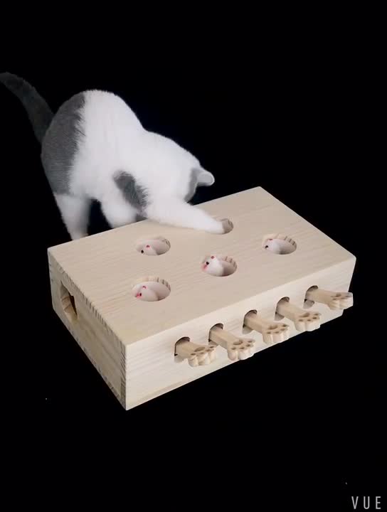 Upgraded Groundhog Cat Toy with Five Holes for Play