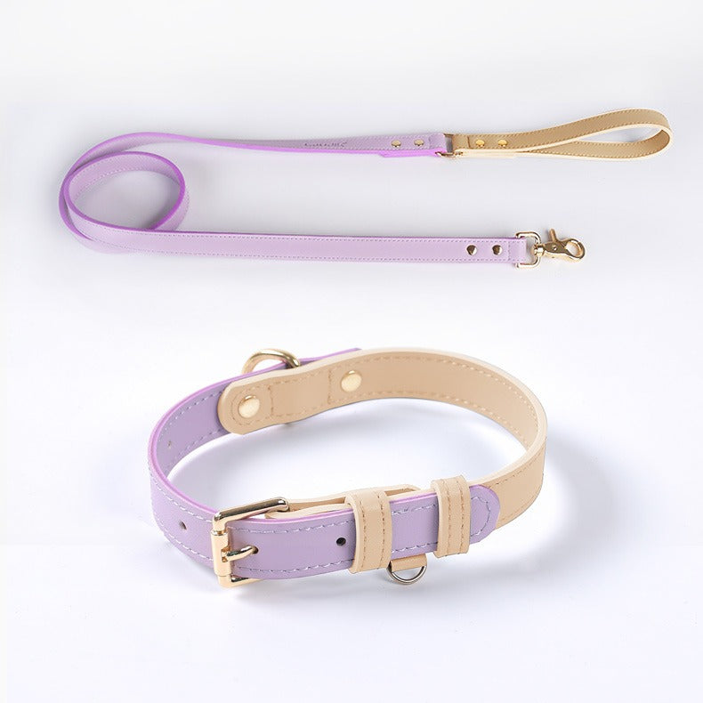 Leather Dog Leash and Collar Set