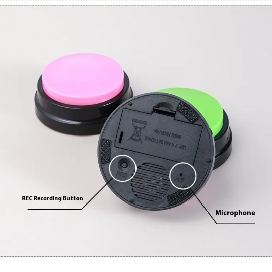 Pet Sound Recording