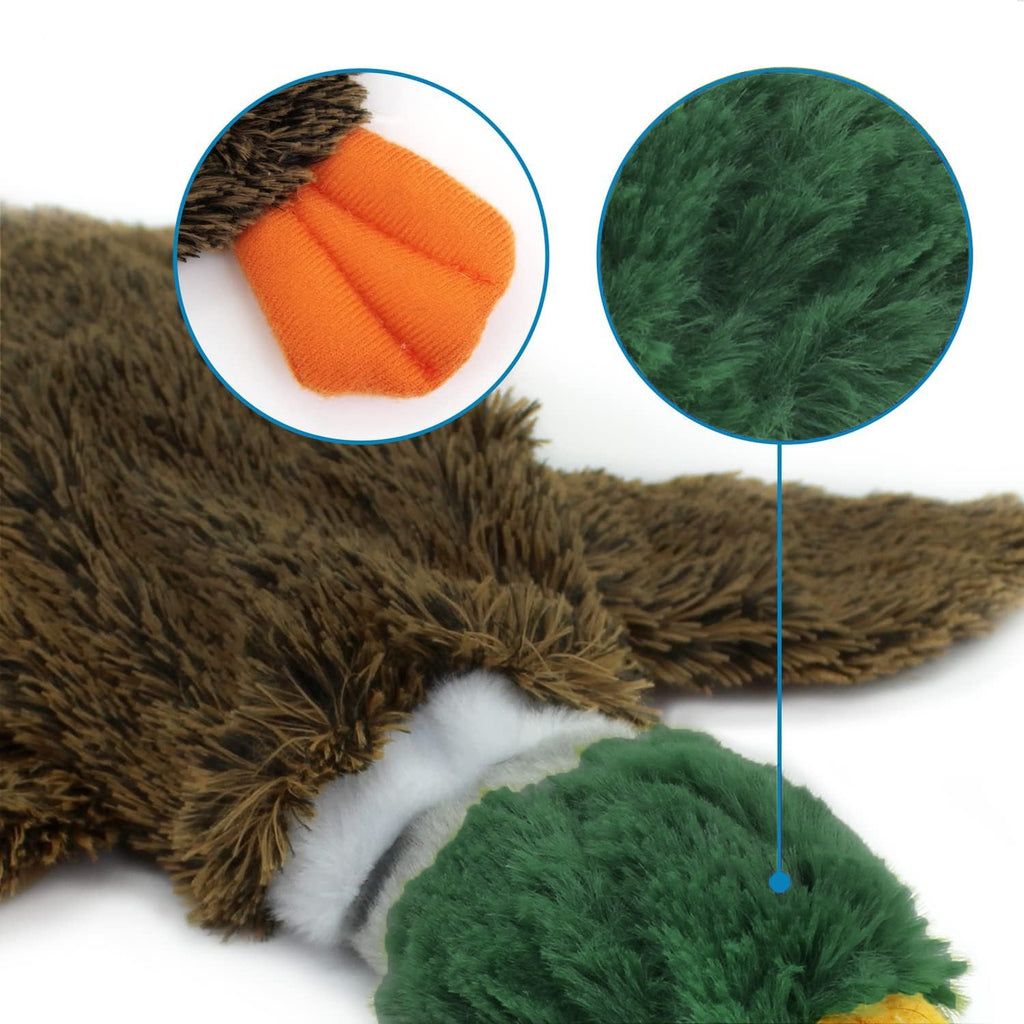 Stuffless Squeaky Dog Toy – Wild Duck